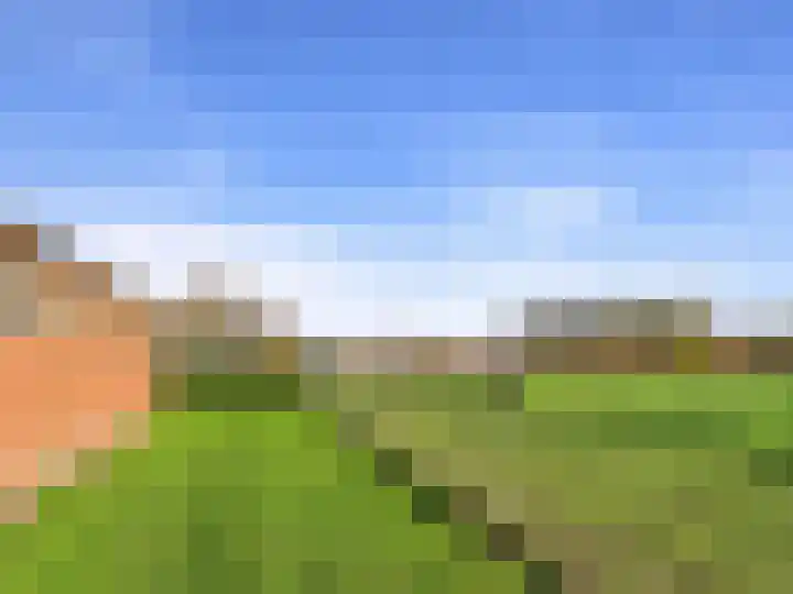 Het Zand 59 Koewacht thumbnail 45