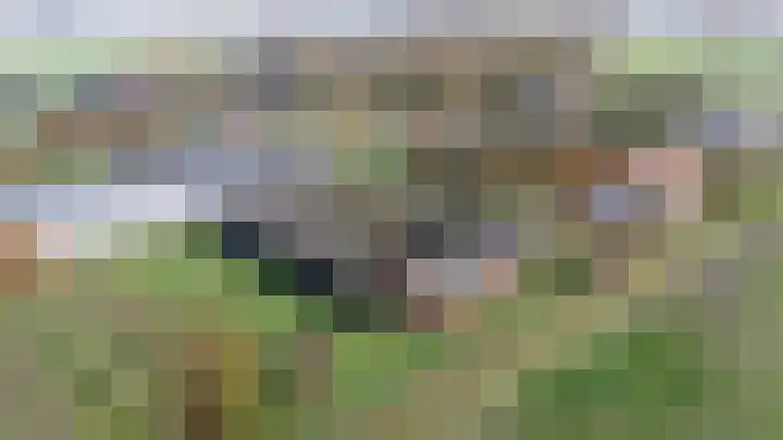 Het Zand 59 Koewacht thumbnail 52