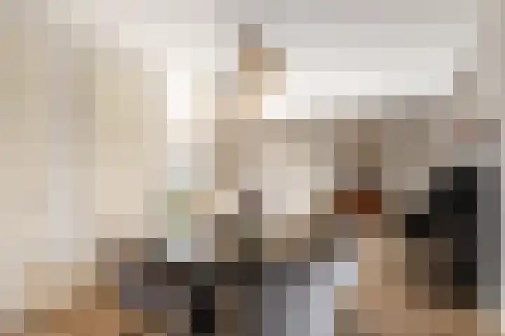 het Zandblauwtje 3 Oirschot thumbnail 13