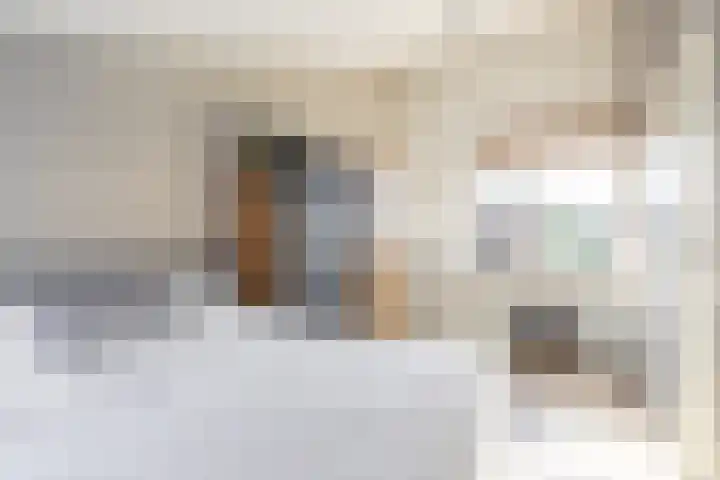 het Zandblauwtje 3 Oirschot thumbnail 25