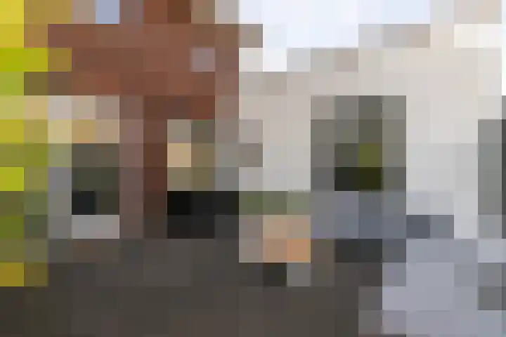 het Zandblauwtje 3 Oirschot thumbnail 31
