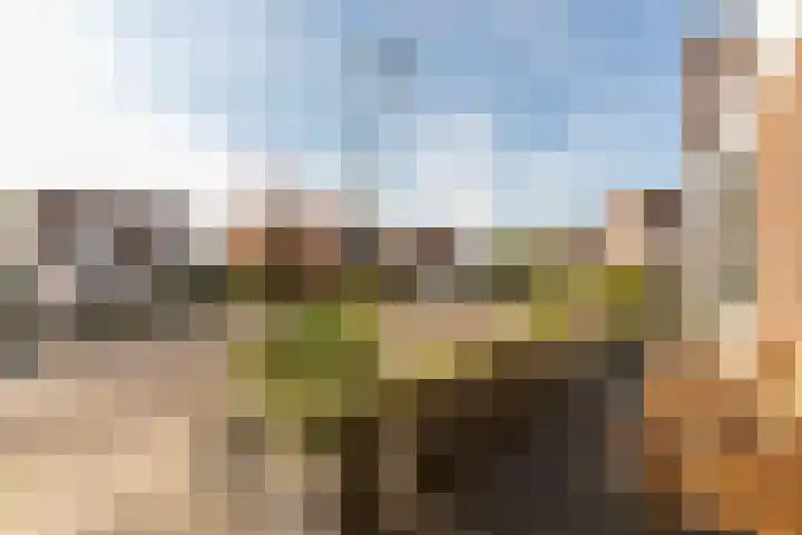 het Zandblauwtje 3 Oirschot thumbnail 35