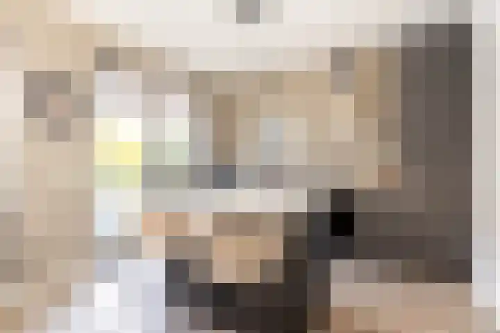 het Zandblauwtje 3 Oirschot thumbnail 9