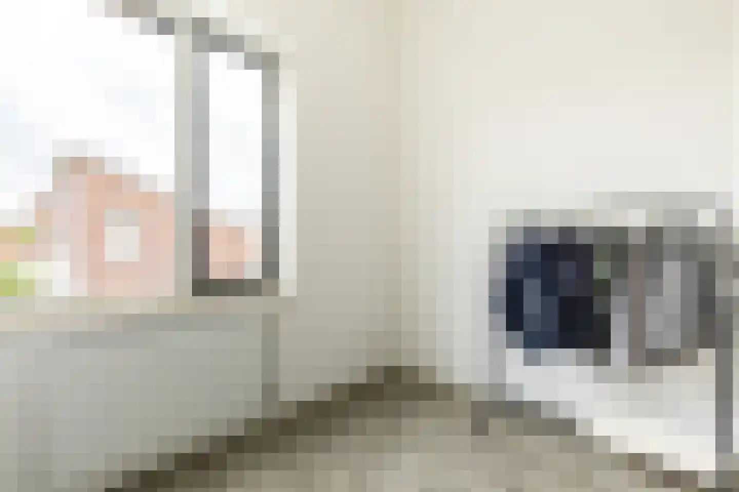 het Zandblauwtje 6 Oirschot thumbnail 22