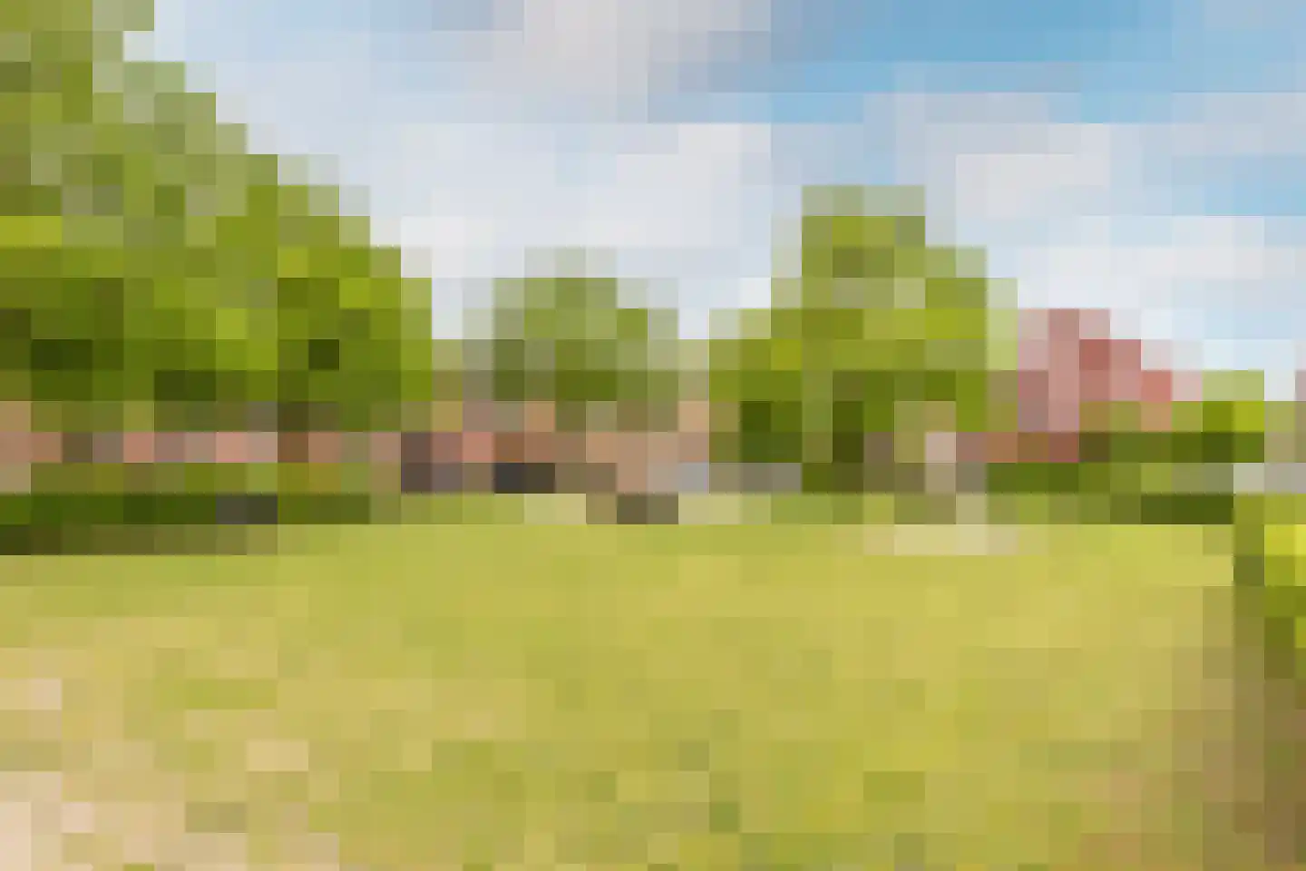 het Zandblauwtje 6 Oirschot thumbnail 32