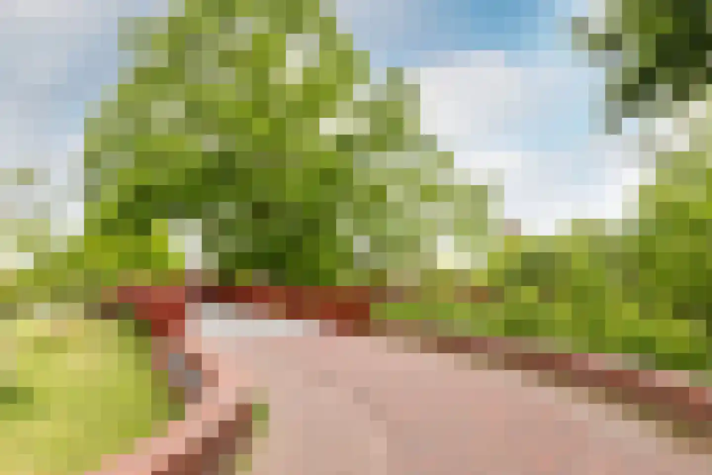 het Zandblauwtje 6 Oirschot thumbnail 34
