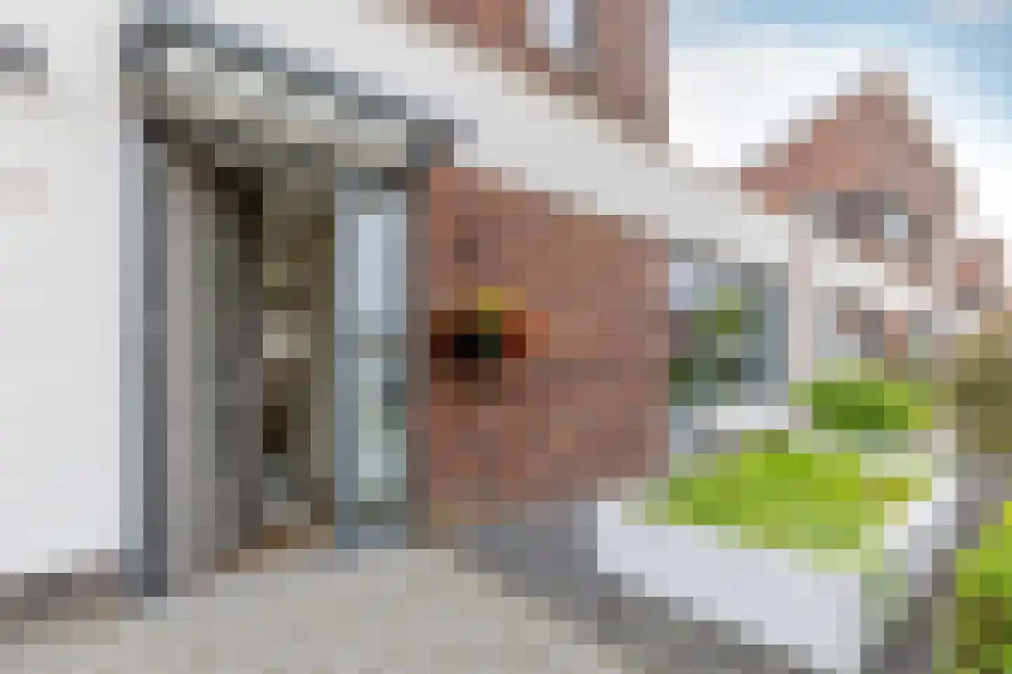 het Zandblauwtje 6 Oirschot thumbnail 7