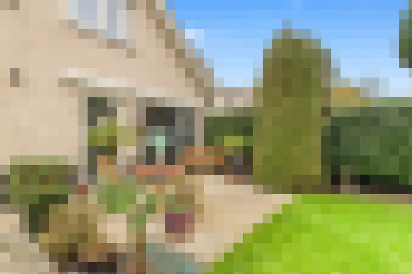 Het Zandstuk 56 Heiloo thumbnail 31