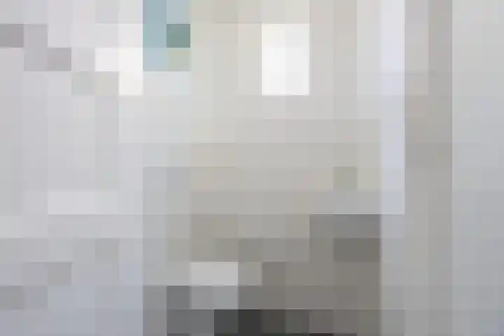 Het Zevenhuizen 10 Heiloo thumbnail 13