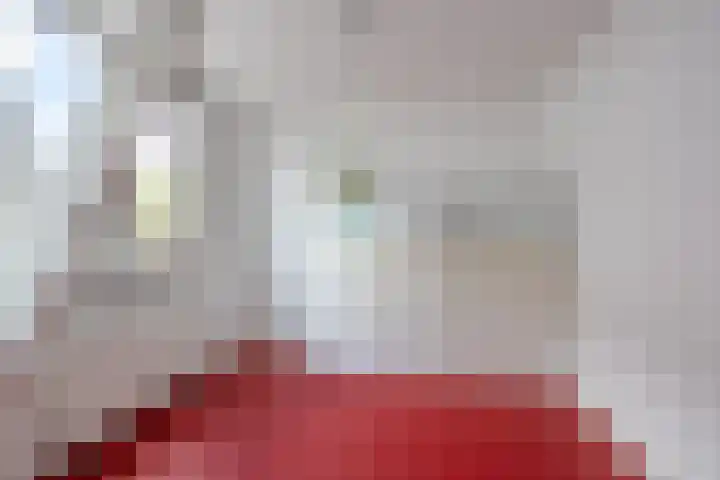 Het Zevenhuizen 10 Heiloo thumbnail 20
