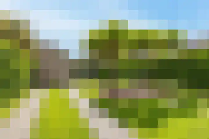 Het Zevenhuizen 10 Heiloo thumbnail 30