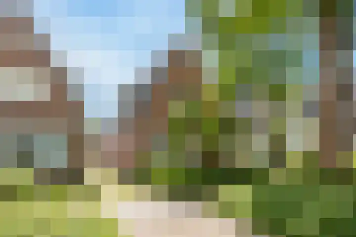 Het Zevenhuizen 10 Heiloo thumbnail 39