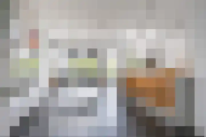 Het Zevenhuizen 10 Heiloo thumbnail 5