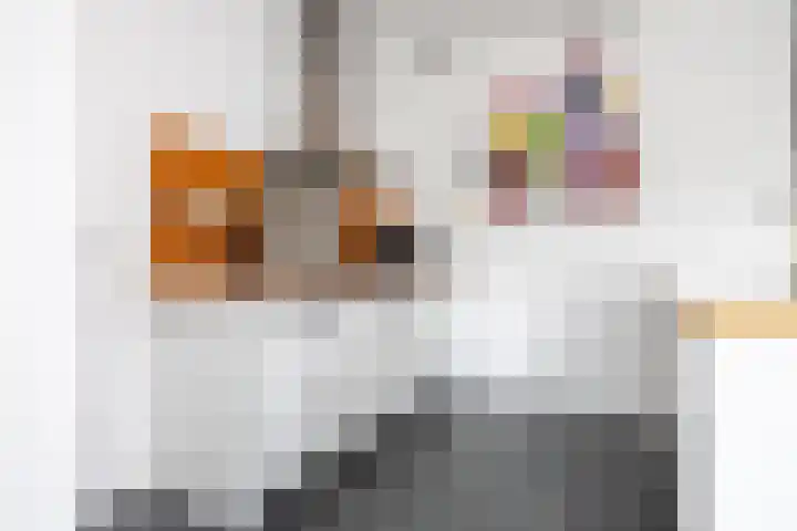 Het Zevenhuizen 10 Heiloo thumbnail 7