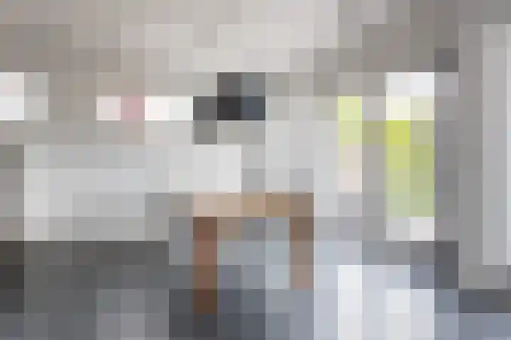 Het Zevenhuizen 10 Heiloo thumbnail 9