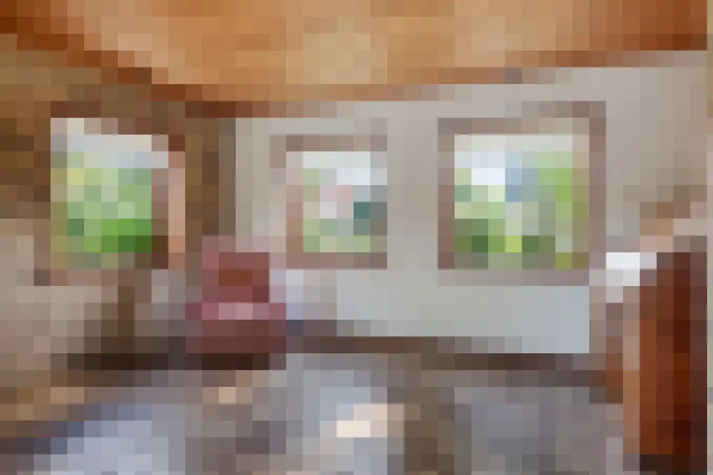 Het Zevenhuizen 3 Heiloo thumbnail 10