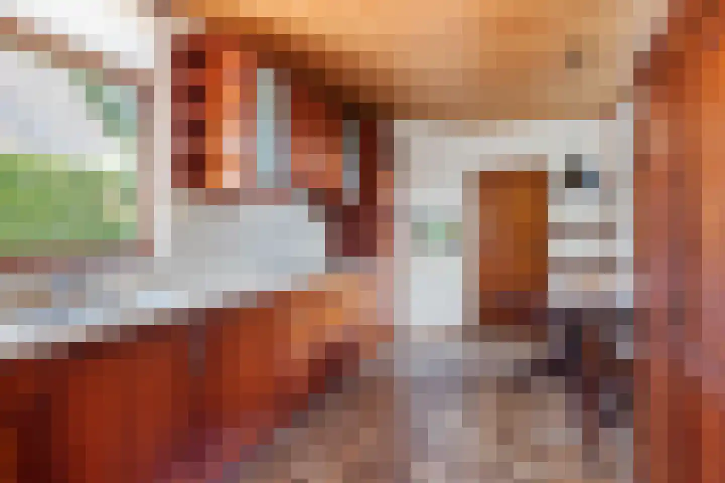 Het Zevenhuizen 3 Heiloo thumbnail 15