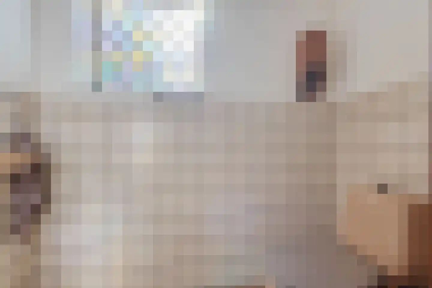 Het Zevenhuizen 3 Heiloo thumbnail 23