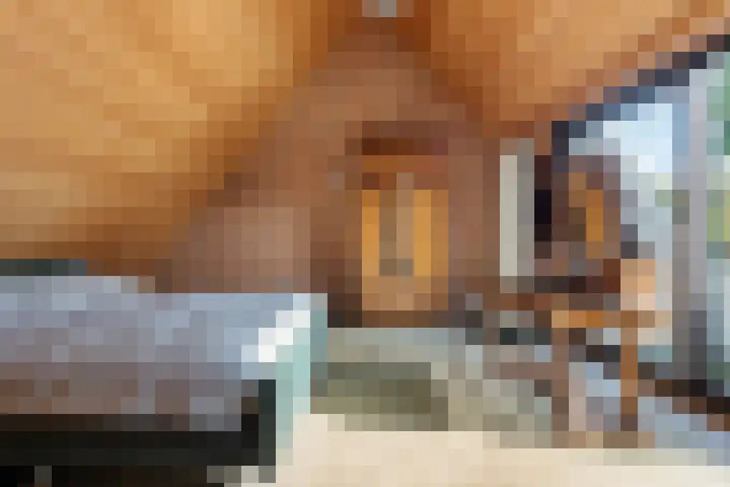 Het Zevenhuizen 3 Heiloo thumbnail 24