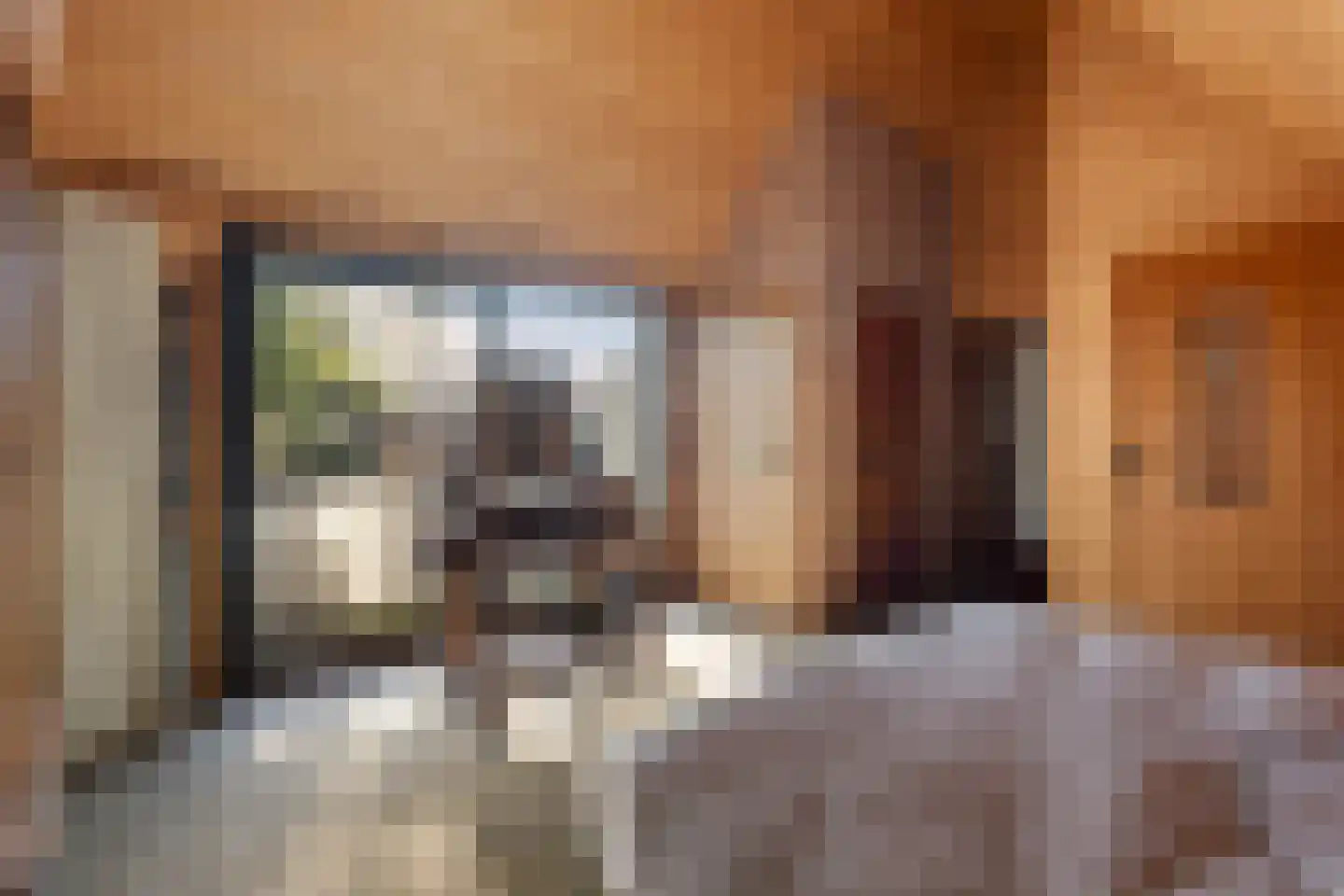 Het Zevenhuizen 3 Heiloo thumbnail 25