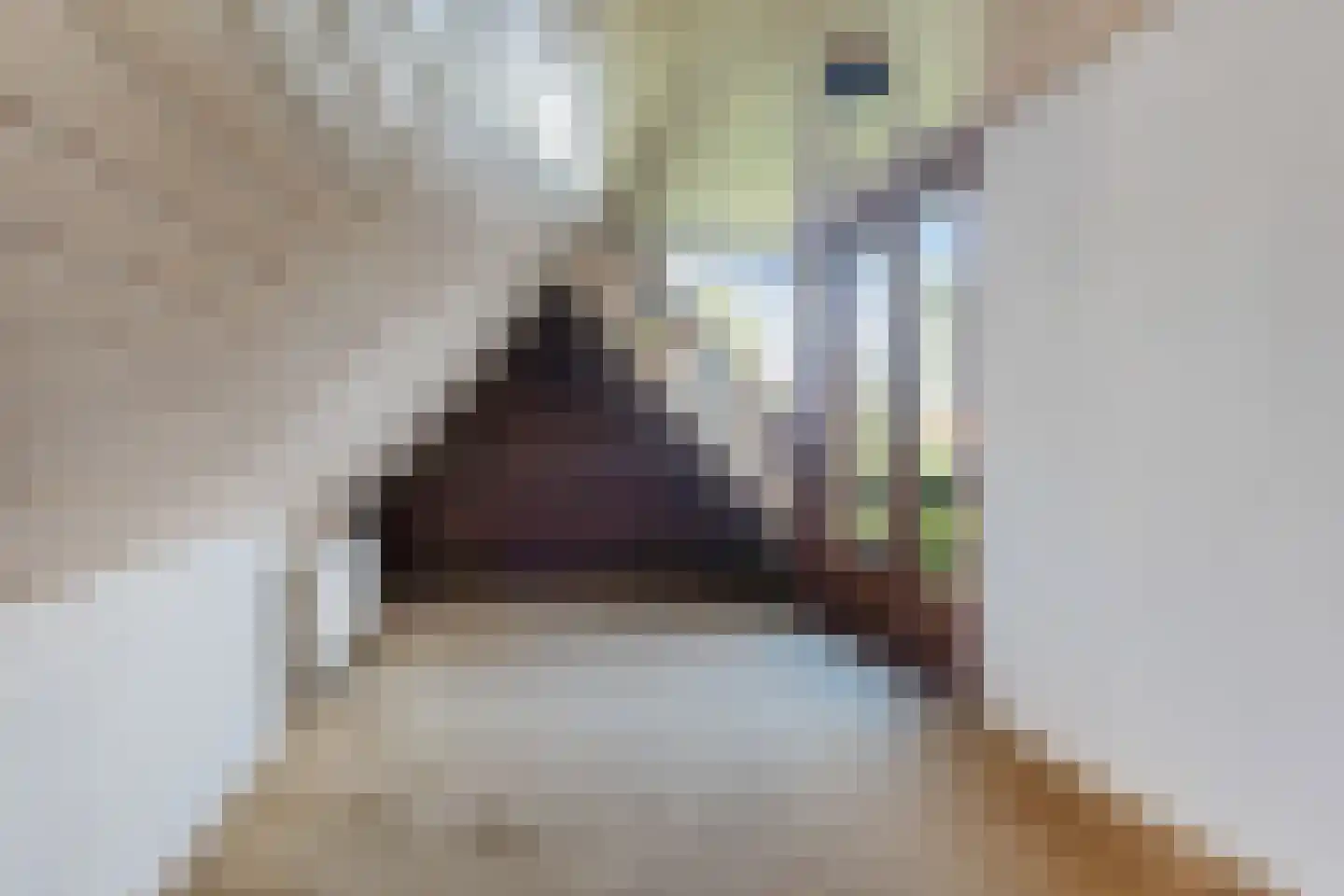 Het Zevenhuizen 3 Heiloo thumbnail 29