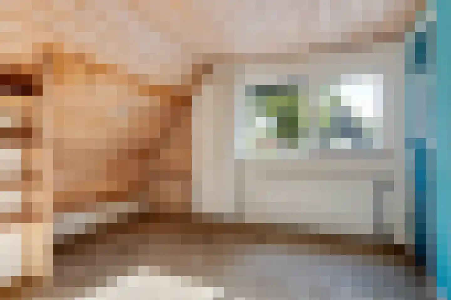 Het Zevenhuizen 3 Heiloo thumbnail 30