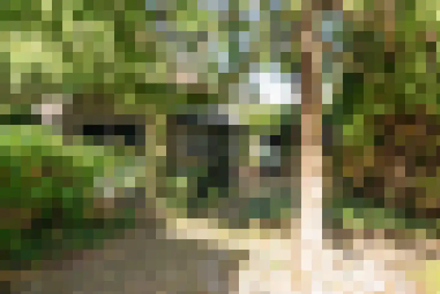 Het Zevenhuizen 3 Heiloo thumbnail 40