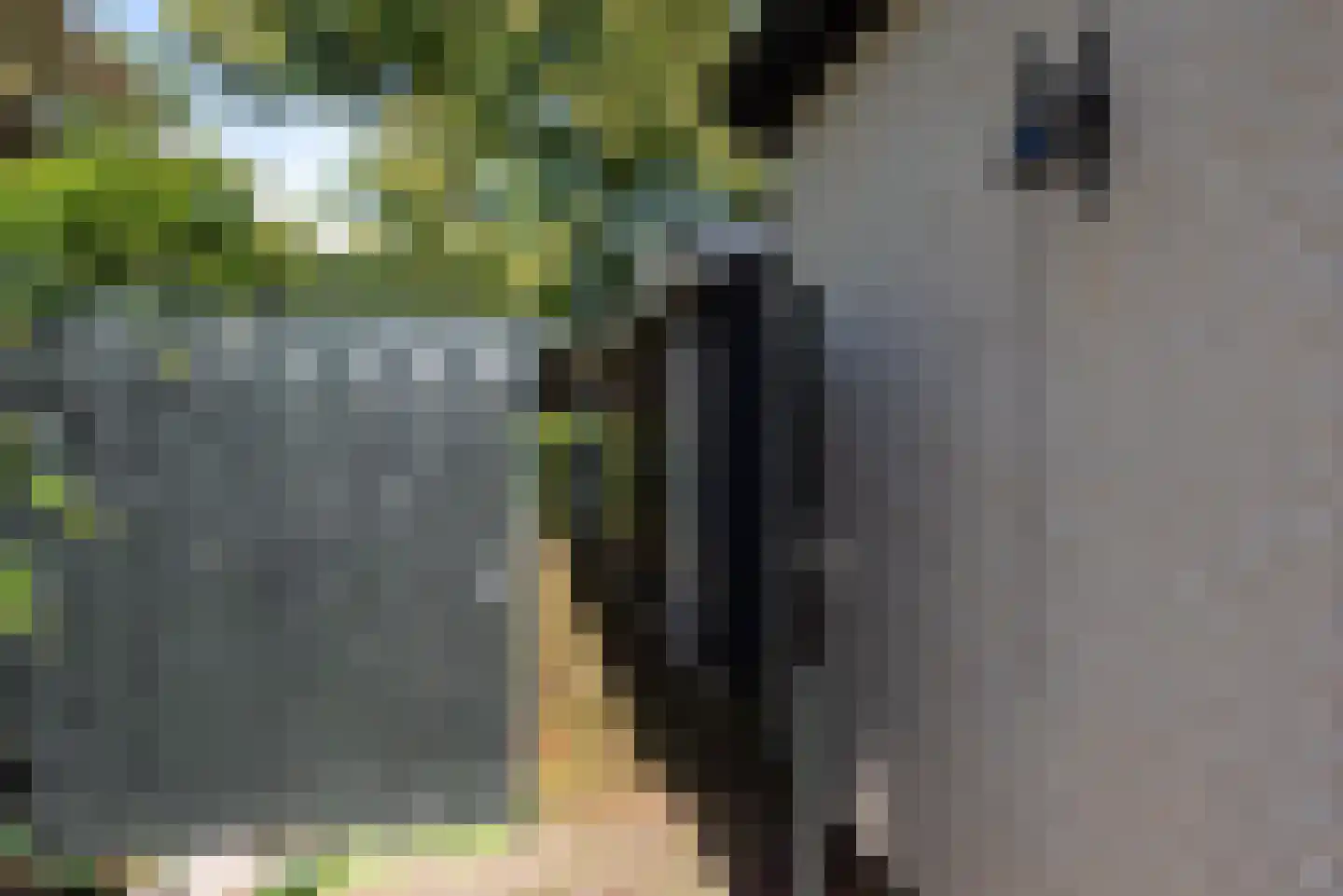 Het Zevenhuizen 3 Heiloo thumbnail 43