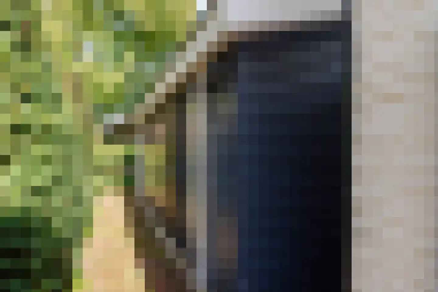 Het Zevenhuizen 3 Heiloo thumbnail 44