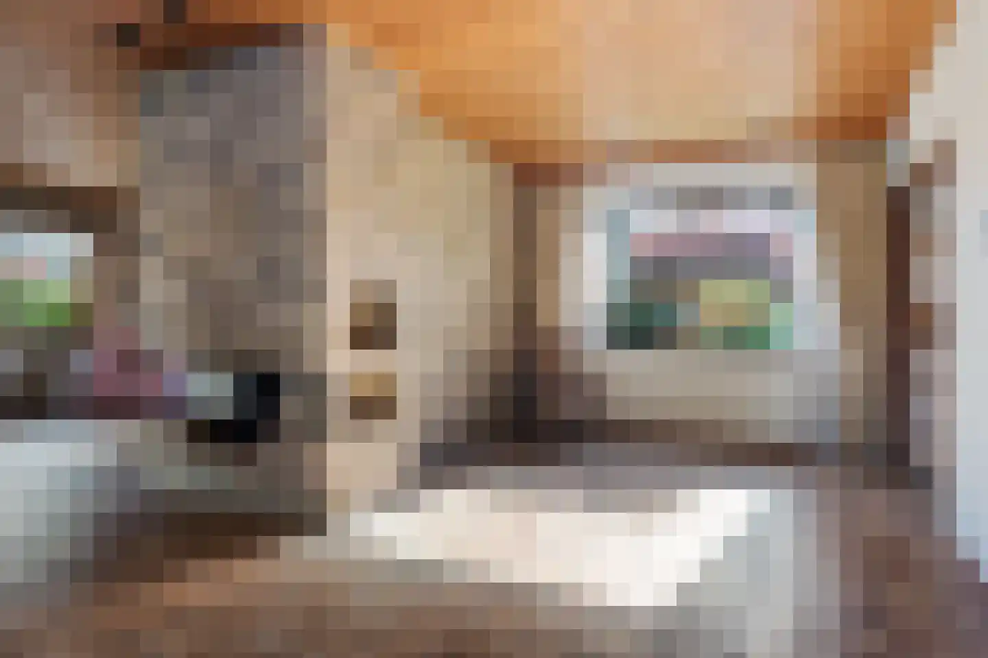 Het Zevenhuizen 3 Heiloo thumbnail 8