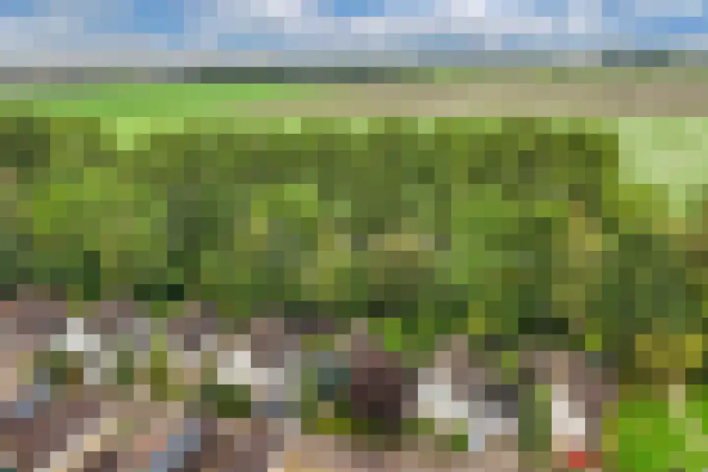 Het Zichtbord 18 Swifterbant thumbnail 11