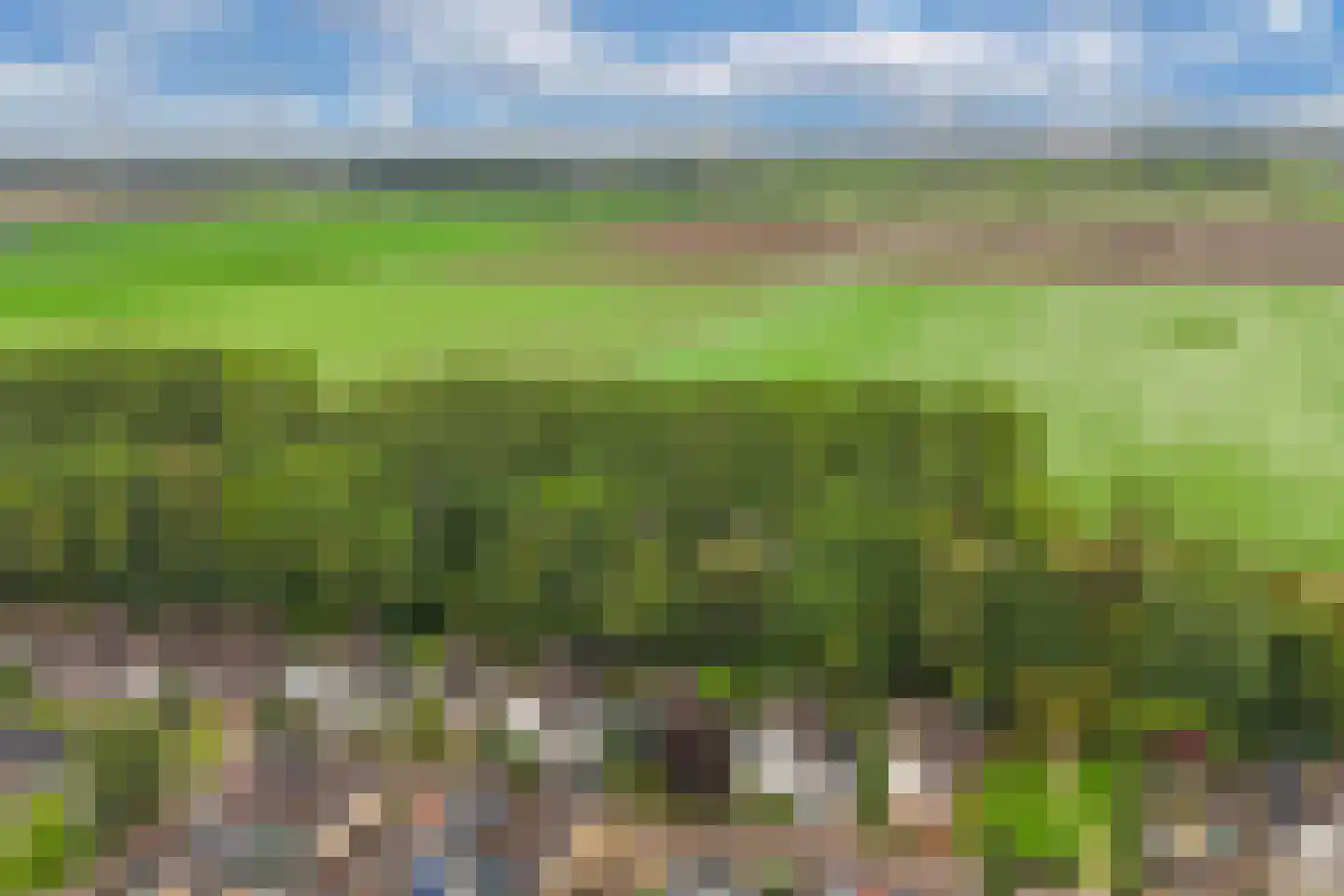Het Zichtbord 18 Swifterbant thumbnail 12