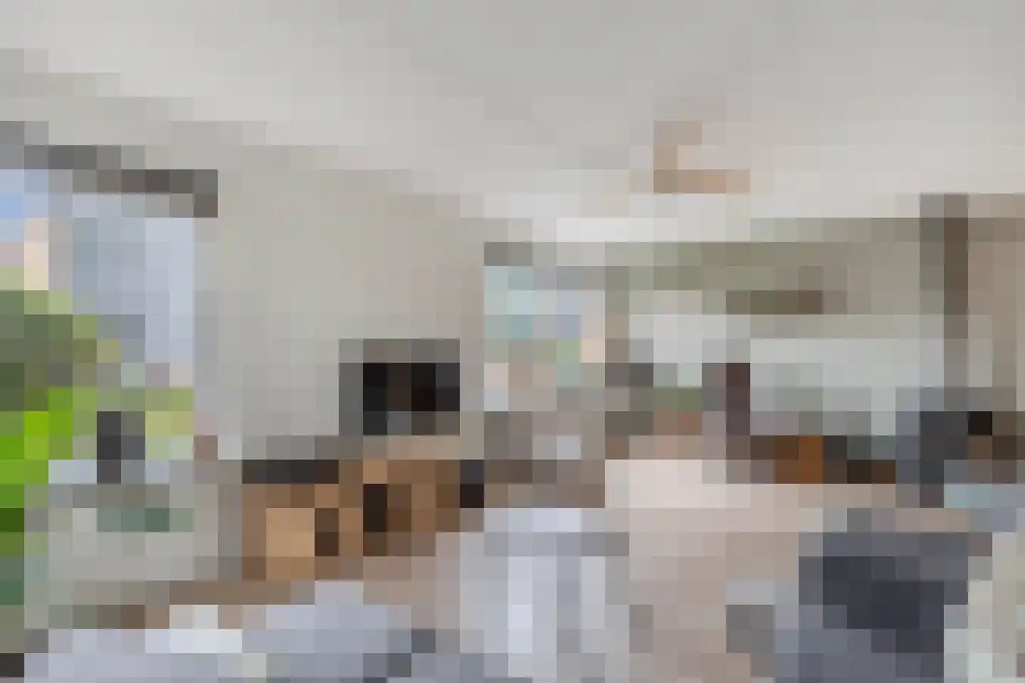 Het Zichtbord 18 Swifterbant thumbnail 21