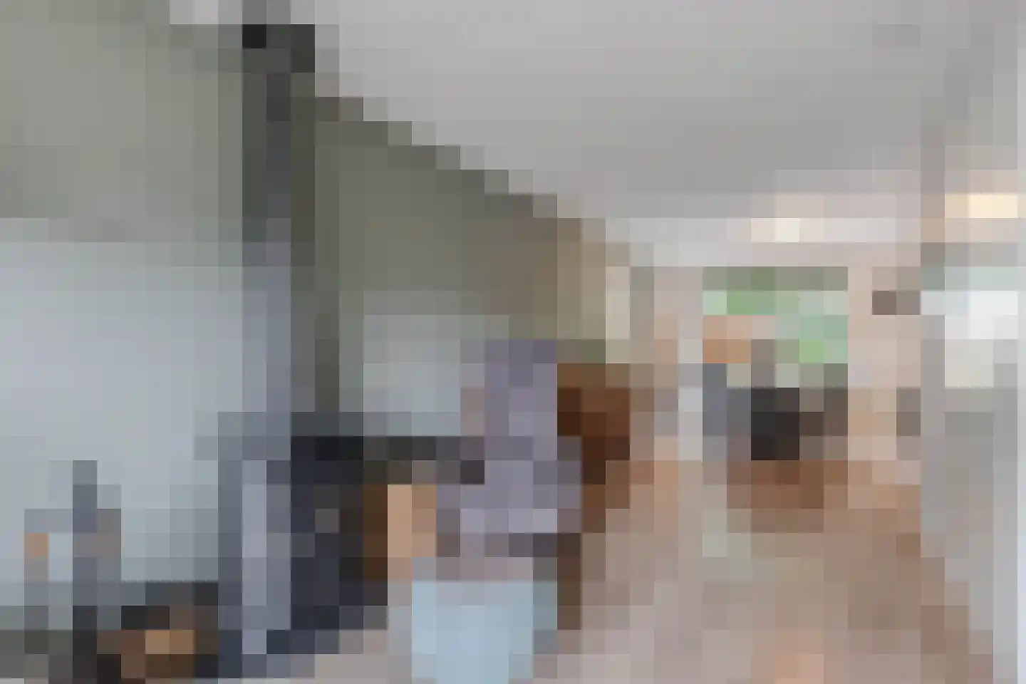 Het Zichtbord 18 Swifterbant thumbnail 23