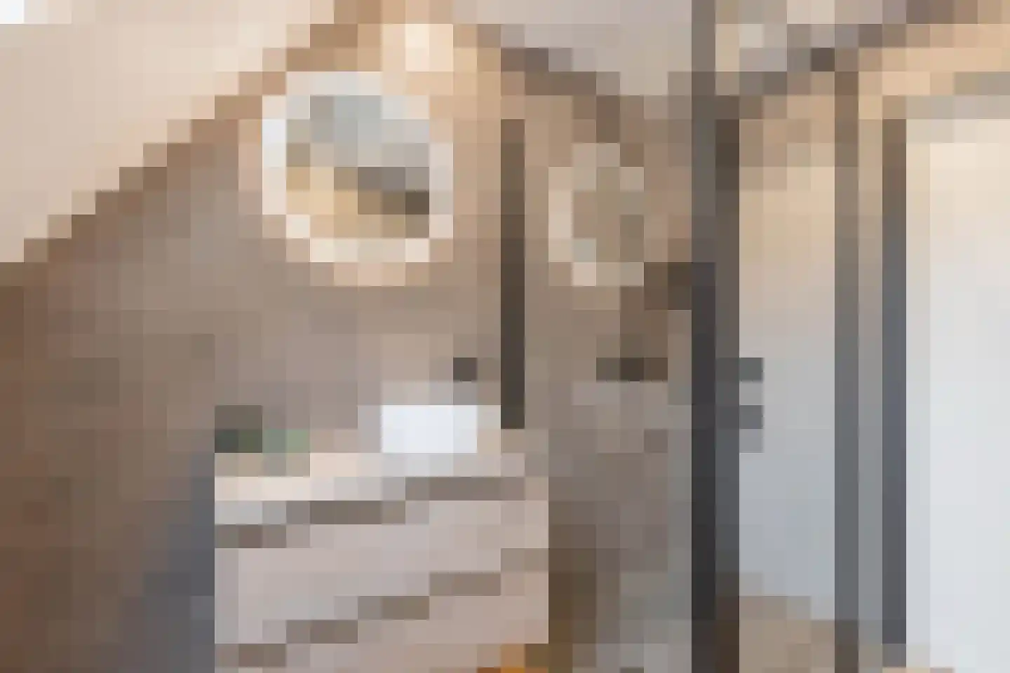 Het Zichtbord 18 Swifterbant thumbnail 37