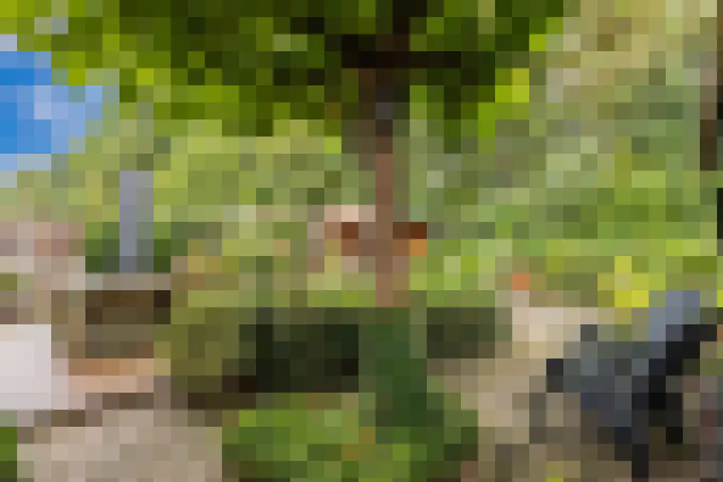 Het Zichtbord 18 Swifterbant thumbnail 44