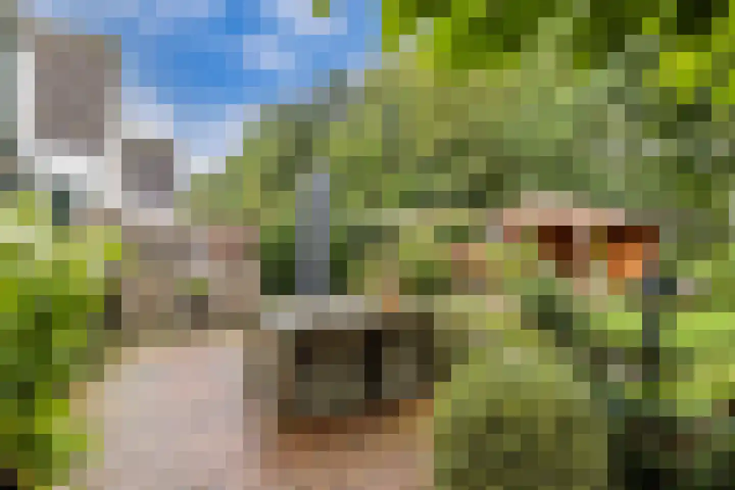 Het Zichtbord 18 Swifterbant thumbnail 45
