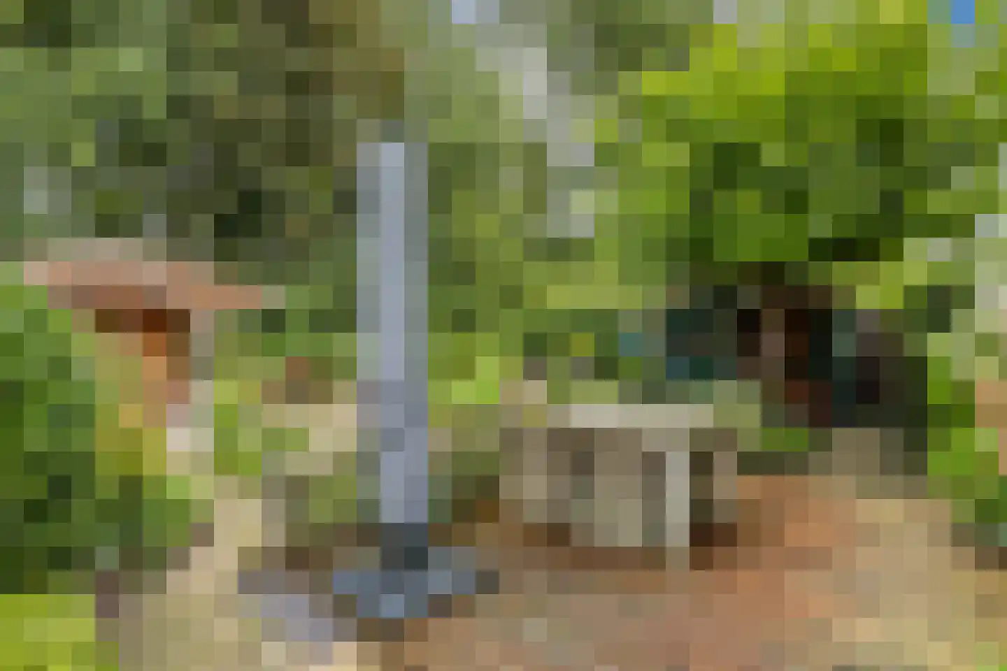Het Zichtbord 18 Swifterbant thumbnail 46