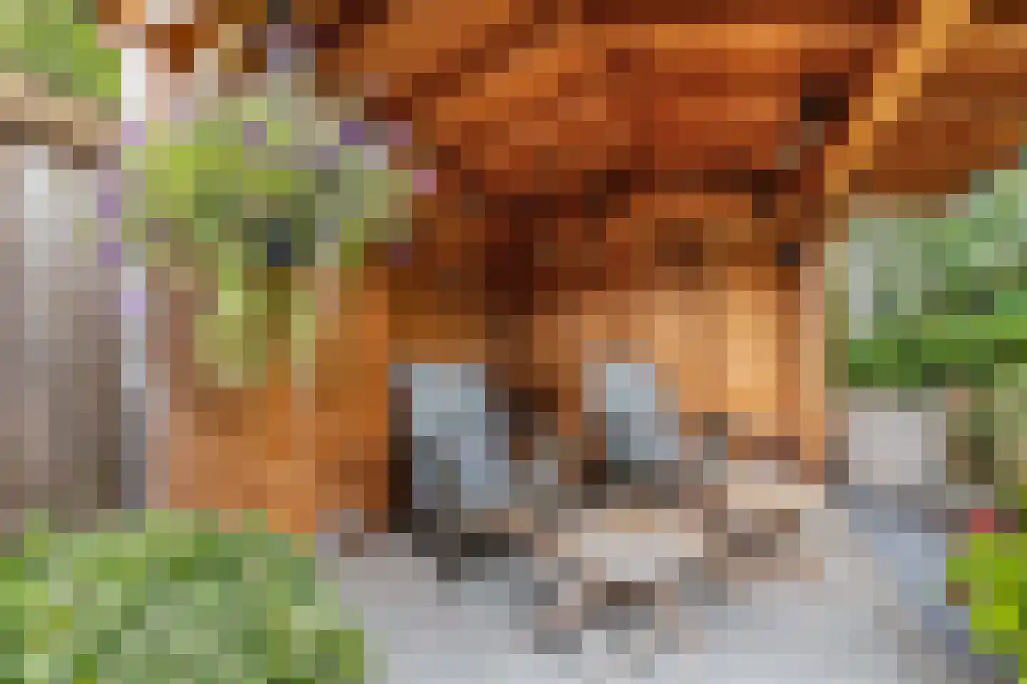 Het Zichtbord 18 Swifterbant thumbnail 48