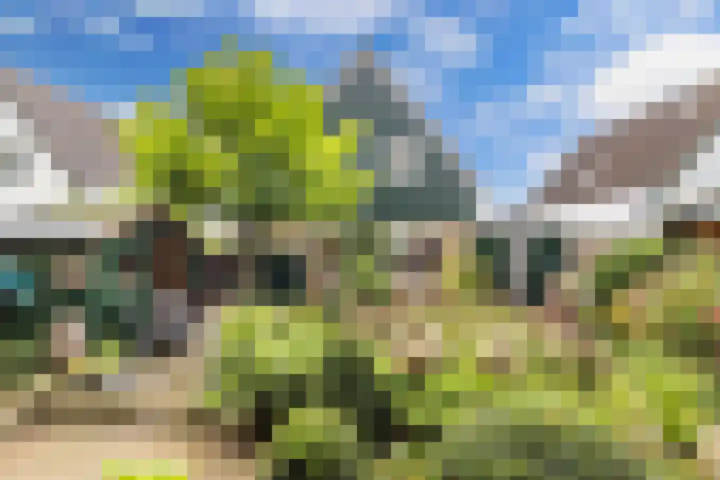 Het Zichtbord 18 Swifterbant thumbnail 50