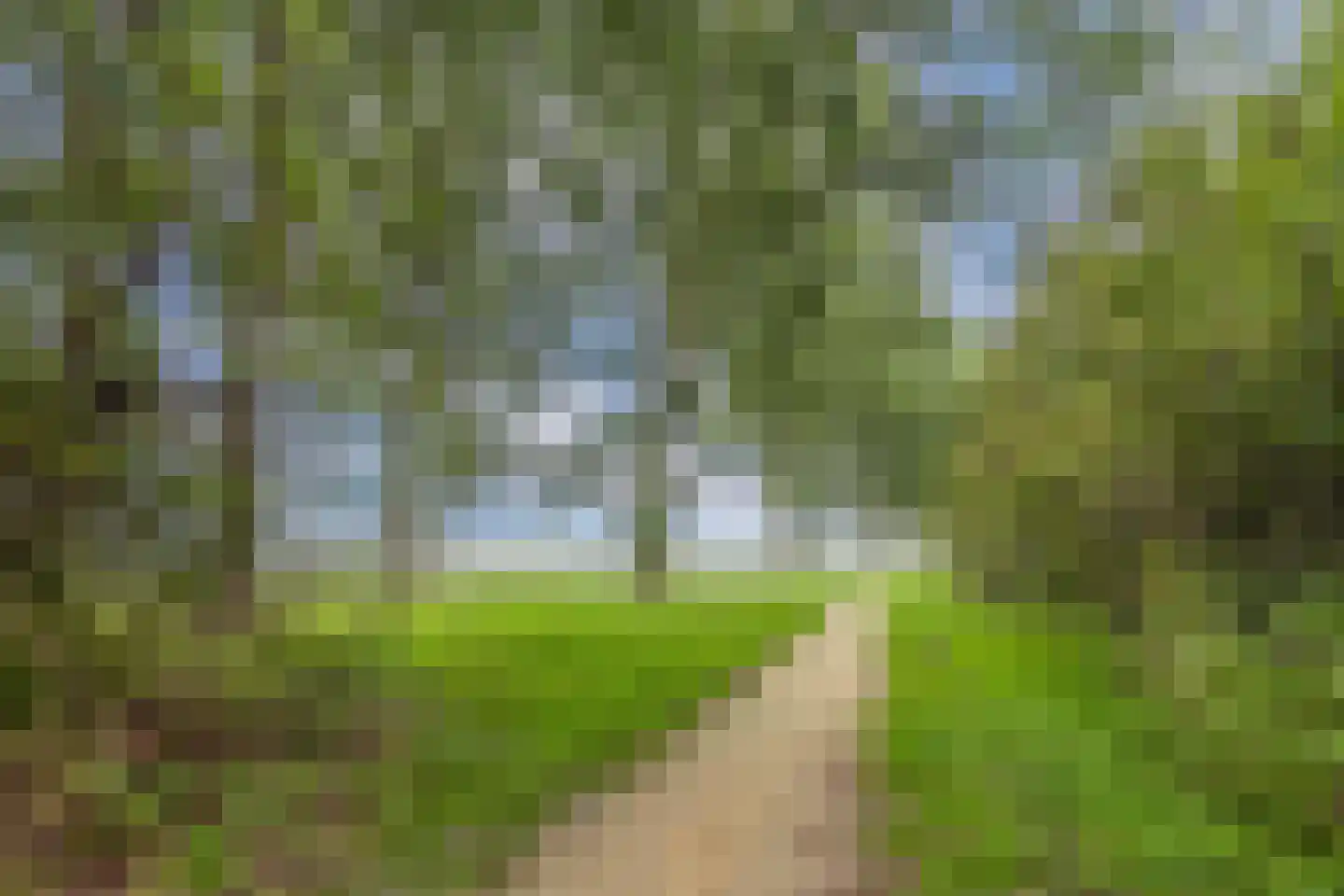 Het Zichtbord 18 Swifterbant thumbnail 54