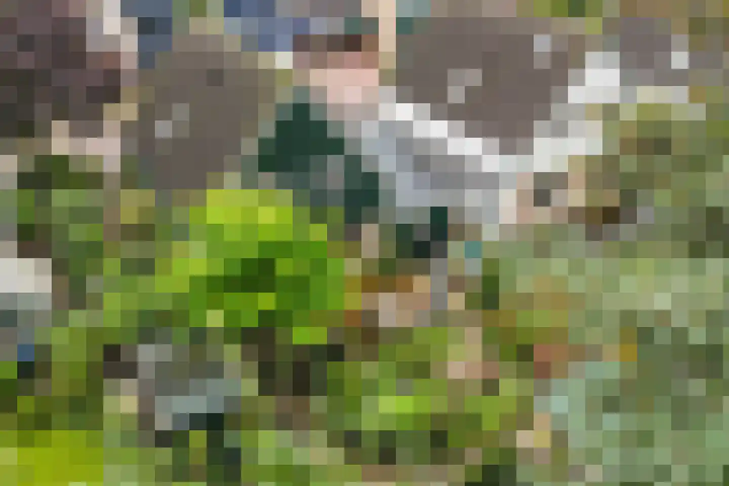 Het Zichtbord 18 Swifterbant thumbnail 55