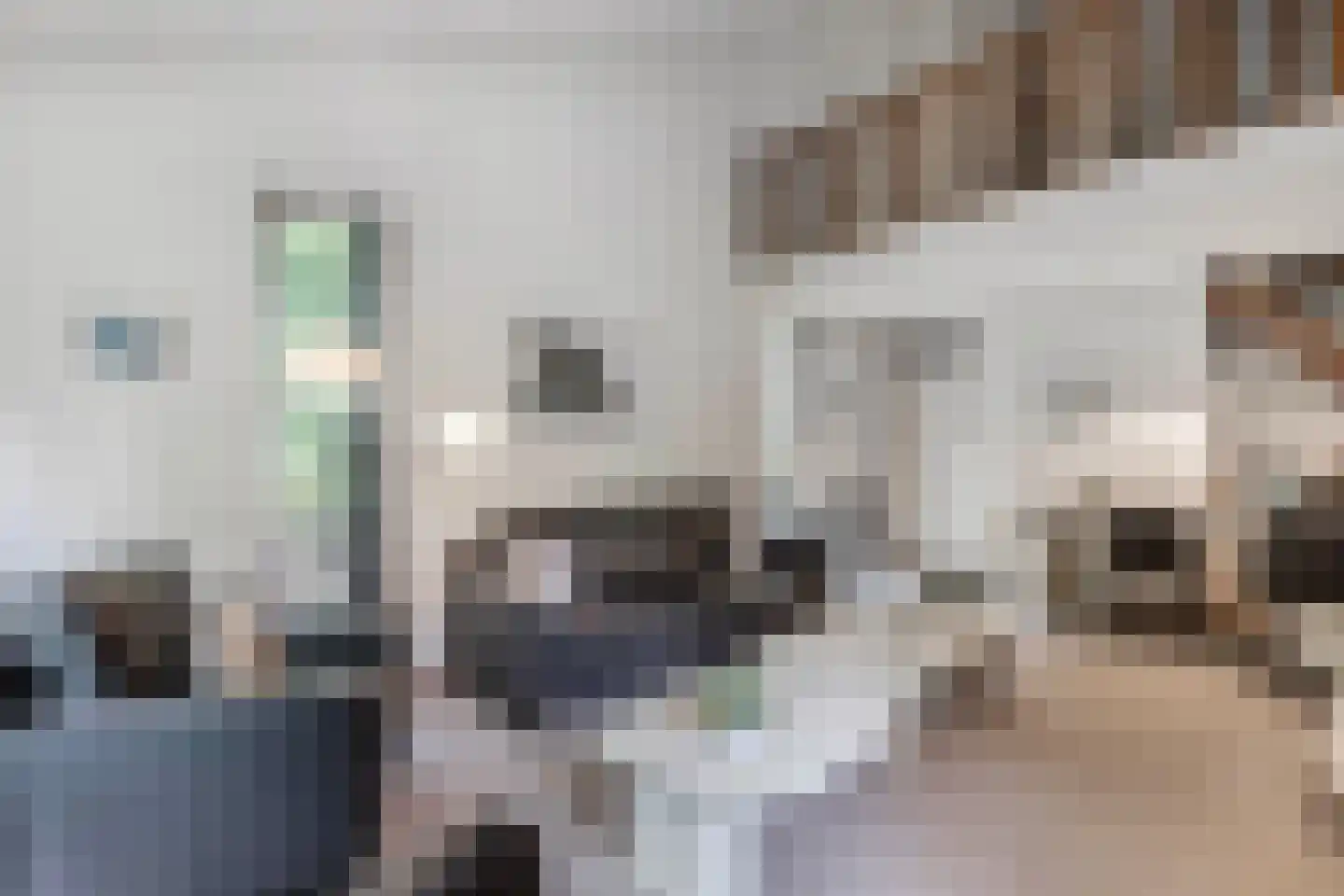 Het Zichtbord 2 Swifterbant thumbnail 15