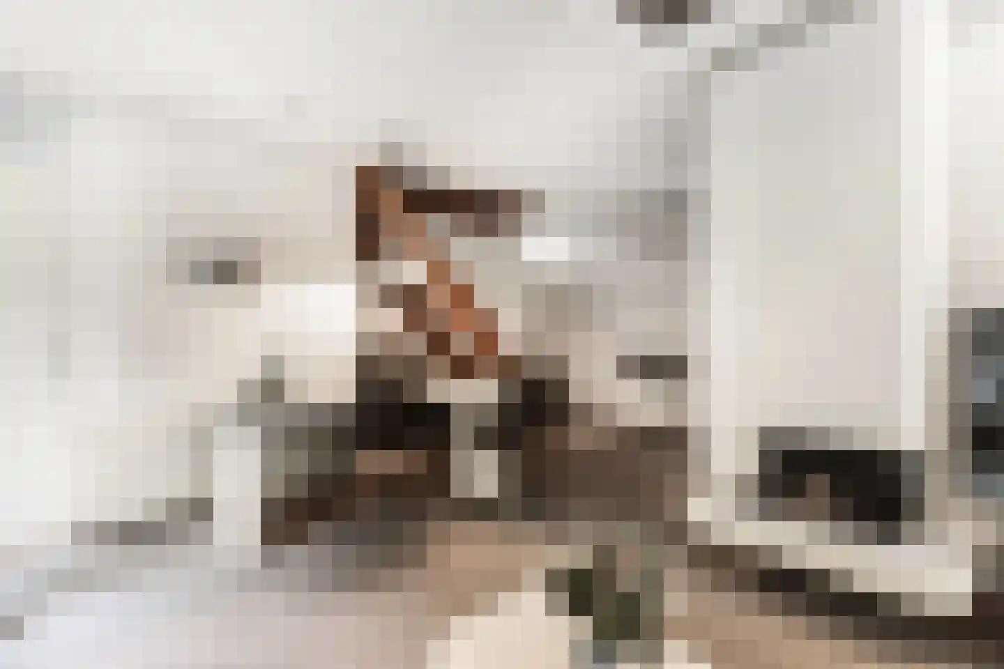 Het Zichtbord 2 Swifterbant thumbnail 18