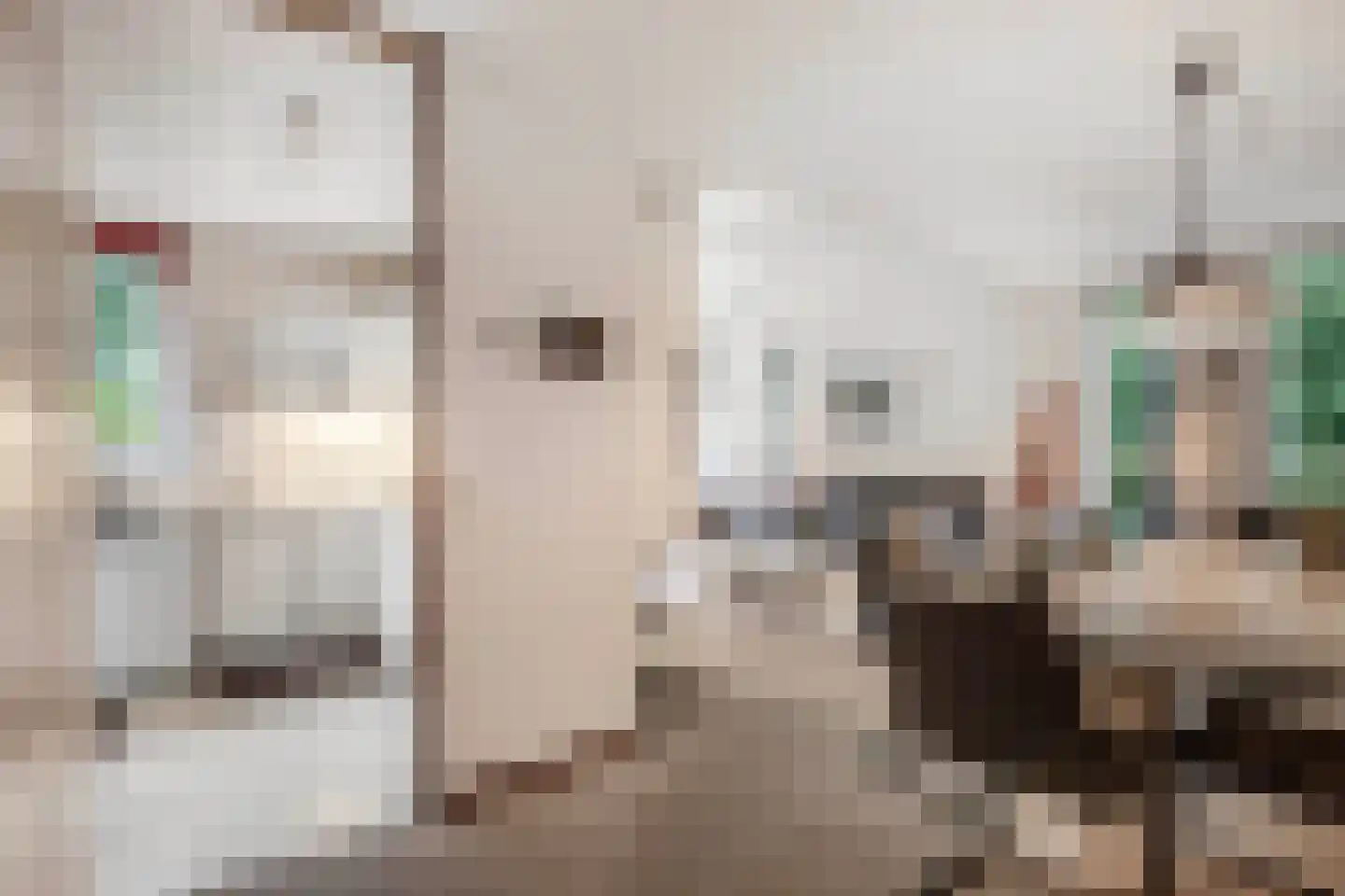 Het Zichtbord 2 Swifterbant thumbnail 19