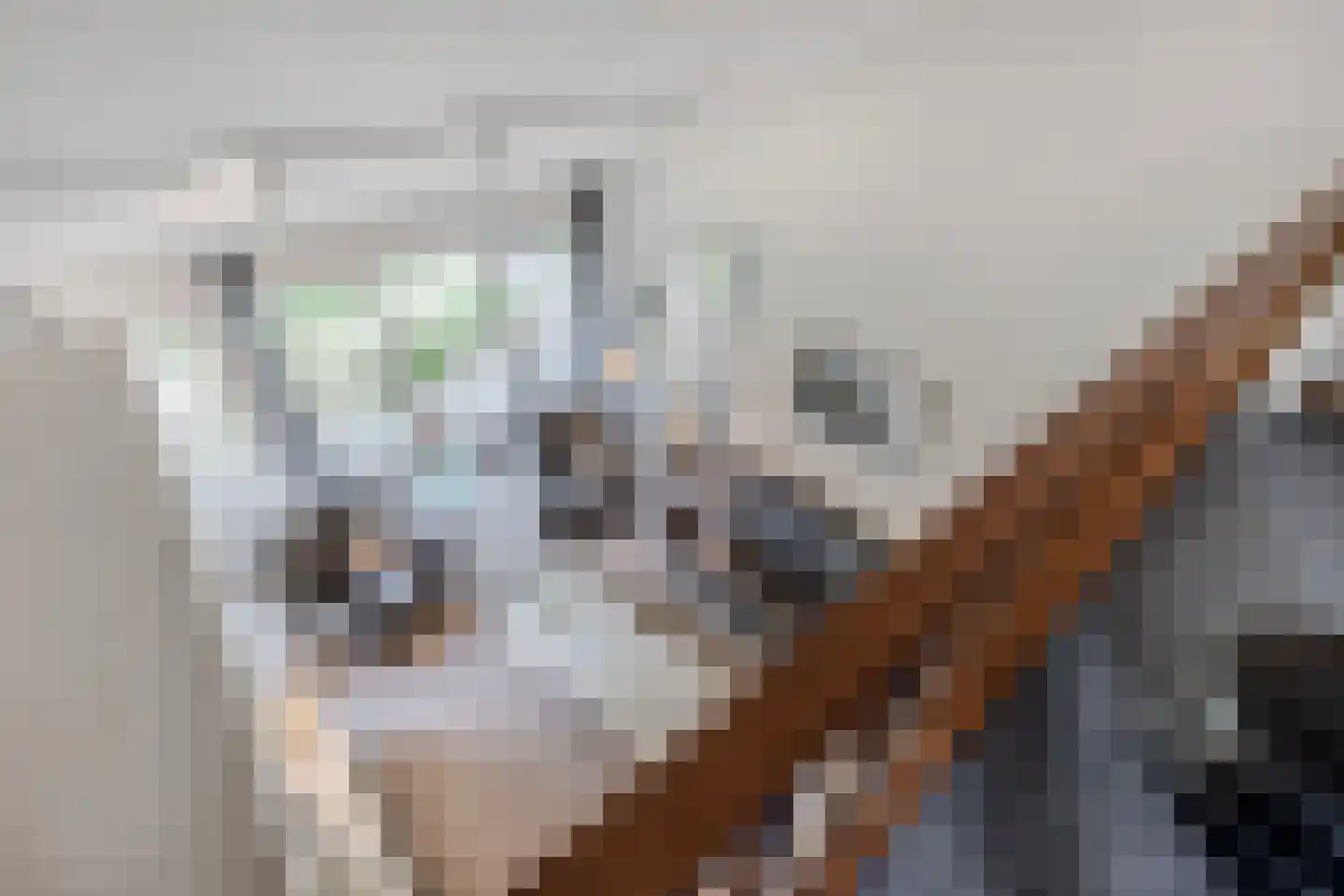Het Zichtbord 2 Swifterbant thumbnail 26