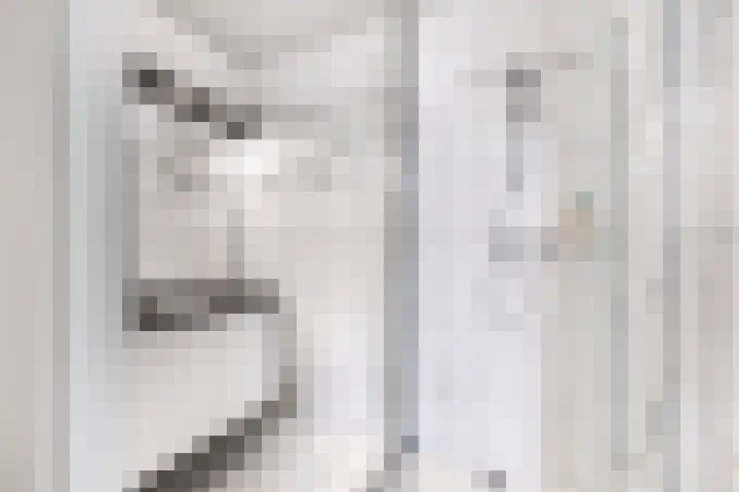 Het Zichtbord 2 Swifterbant thumbnail 32