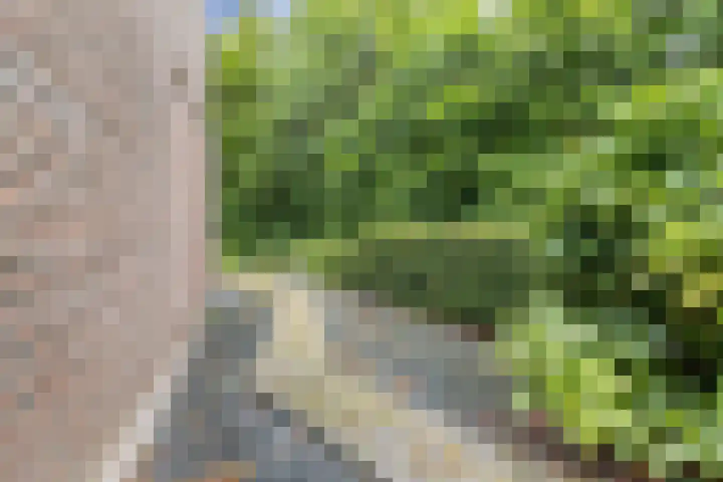 Het Zichtbord 2 Swifterbant thumbnail 40