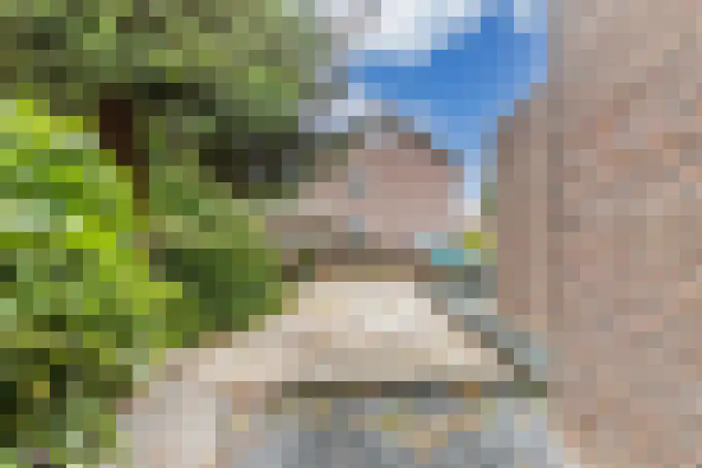 Het Zichtbord 2 Swifterbant thumbnail 41