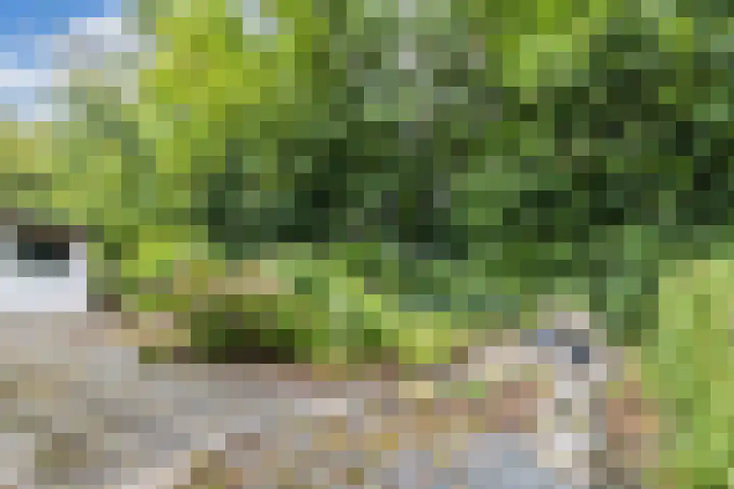 Het Zichtbord 2 Swifterbant thumbnail 42